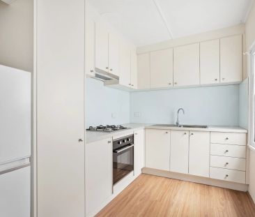Character Filled Terrace Home In North Randwick Pocket - Photo 1