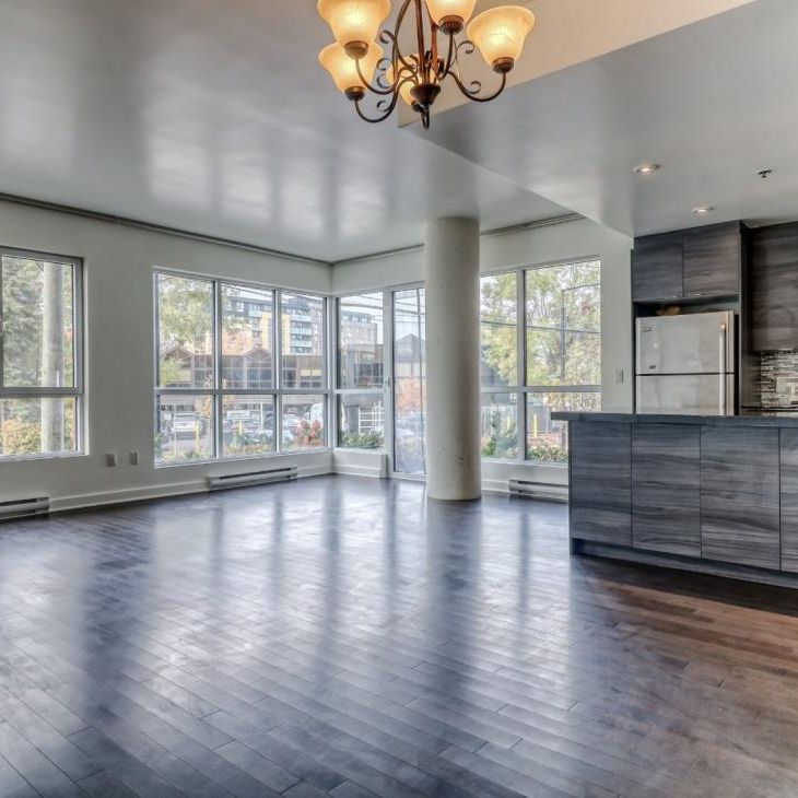 Appartement à louer - Montréal (Côte-des-Neiges/Notre-Dame-de-Grâce) (Côte-des-Neiges) Appartement à louer - Montréal (Côte-des-Neiges/Notre-Dame-de-Grâce) (Côte-des-Neiges) - Photo 1