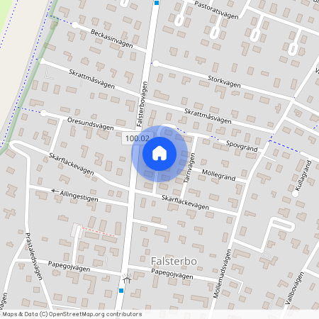 Skrakvägen, Falsterbo