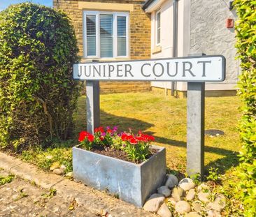 Juniper Court, CM6, Dunmow - Photo 3