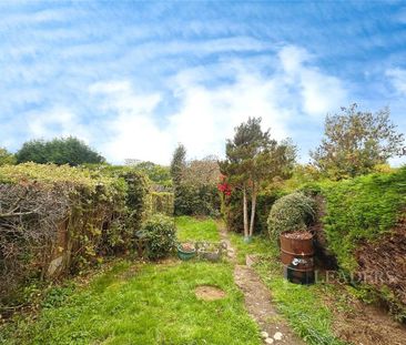 3 bedroom terraced house to rent - Photo 2