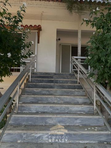 Μονοκατοικία για ενοικίαση Παραλία Αγίου Νικολάου (Αιδηψός) - Φωτογραφία 2