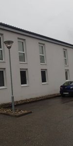 Familienwohnung! - Foto 4