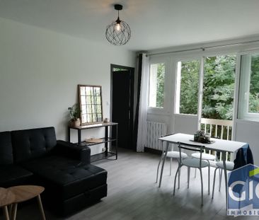 Location Appartement 2 pièces 43m² - Photo 2