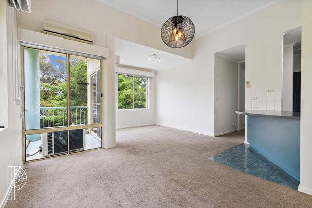 22/1 Port Jackson Circuit, Phillip ACT 2606 - Apartment For Rent | Domain - Photo 1
