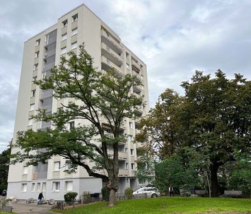 Appartement T4 Oullins à louer - Photo 4