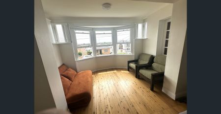 Original federation style home located in the heart of Hurstville. (OPEN HOUSE: SATURDAY 10:00-10:15AM) - Photo 4