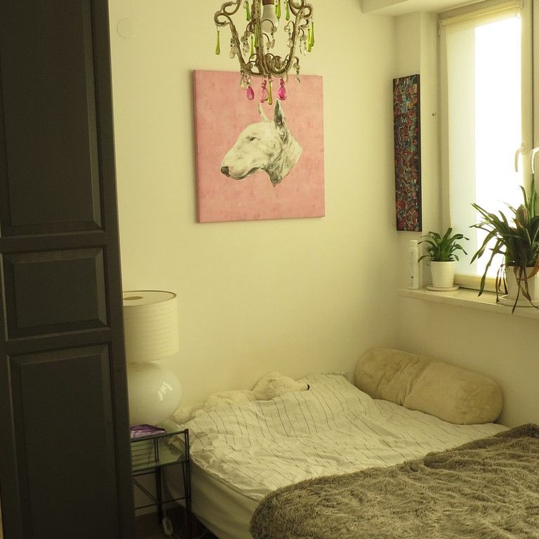 mazowieckie, Warszawa, Żoliborz, Stary Żoliborz, Księdza Teofila Boguckiego - Фото 1