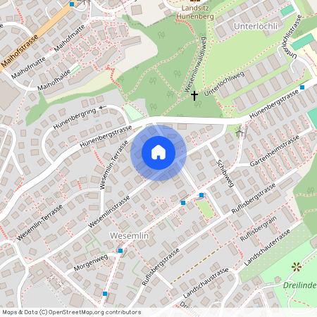 6006, Luzern, Wesemlinstrasse, 71