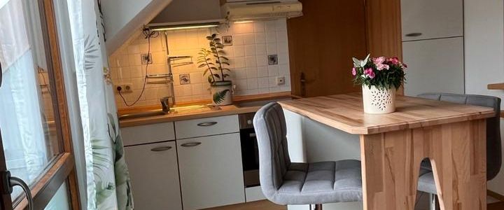 Sonniges 1-Zimmerapartment / Wohnung im Münchner Nord-Westen - Foto 1