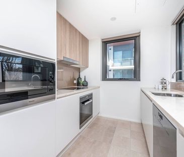 56/18 Austin Street, Griffith ACT 2603 - Apartment For Rent | Domain - Photo 6