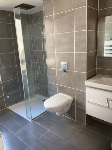 Location Appartement 1 pièce 28m² - Photo 3