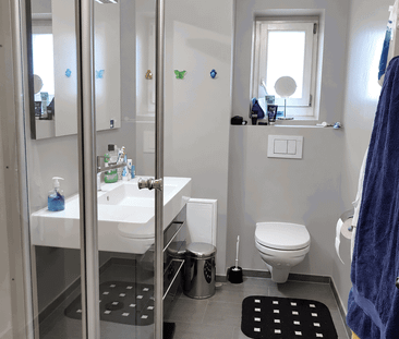 3 Zimmer, 63 m², 2. Stock - Foto 5