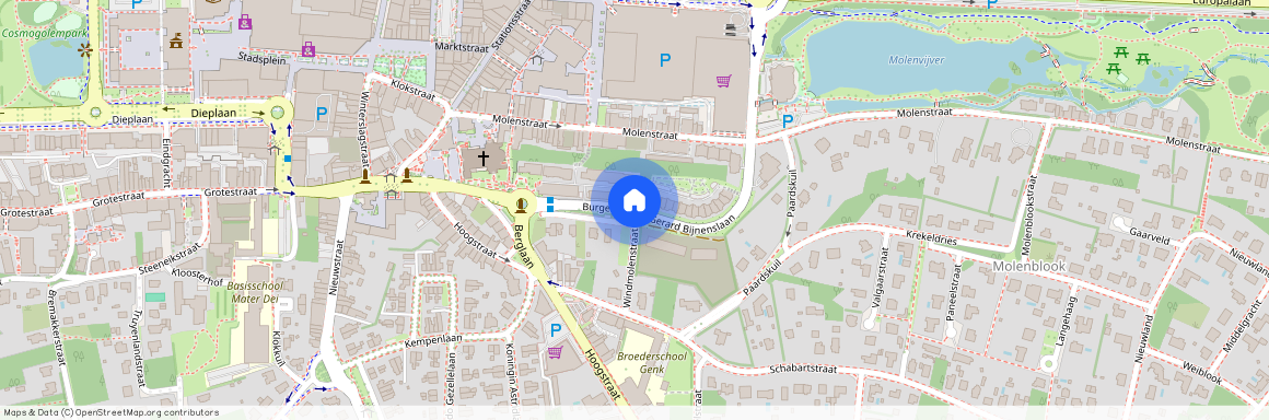 Burgemeester Gerard Bijnenslaan, 3600 Genk