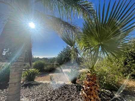 TH2023439 - Modern three bedroom - Photo 2