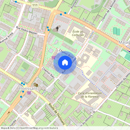 Rue Le Corbusier 20, 1208 Genève