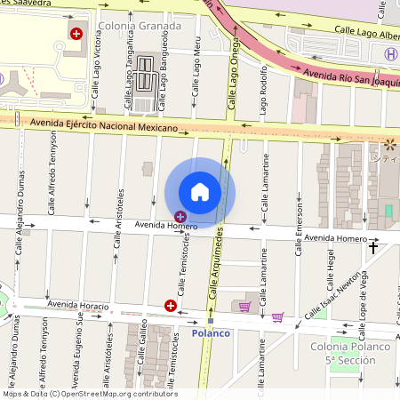 Temístocles 315, Polanco, Polanco IV Secc, Miguel Hidalgo, 11550 Ciudad de México, CDMX #315, Colonia Polanco IV Sección, C.P. 11550, Df / Cdmx