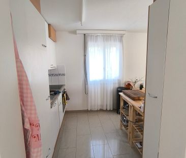 3.5 Zimmer, 75 m², EG - Foto 2