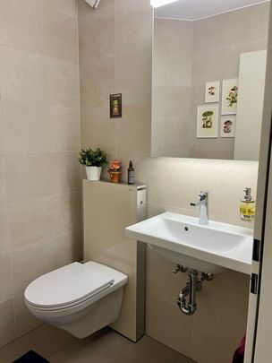 APPARTEMENT DE 3 PIÈCES À LUCERNE, MEUBLÉ, TEMPORAIRE - Photo 1