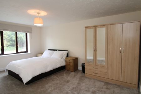 £1,000 - To Let - Photo 5