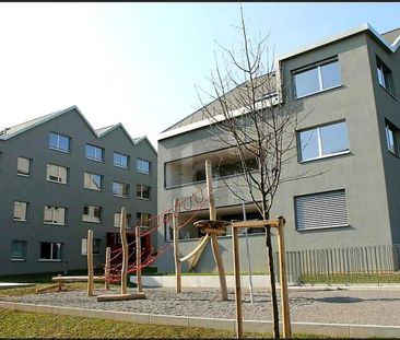 FAMILY-FRIENDLY AND WIDE-RANGING - Photo 3