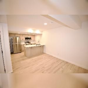 1 Bed 1 Bath Suite SE Edmonton Mattson - Photo 5