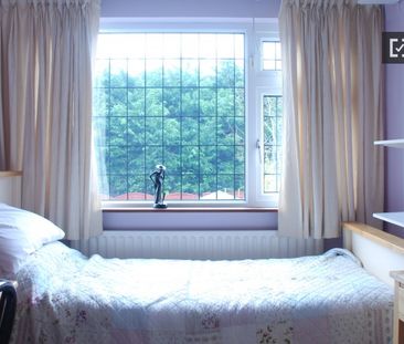 Decorated room in shared apartment in Killiney, Dublin - Photo 6