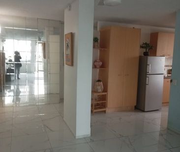 Beautiful Spacious Home Between Broadbeach and Surfers - Photo 5