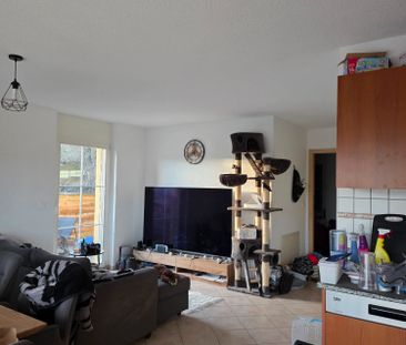 2.5 Zimmer - Photo 1