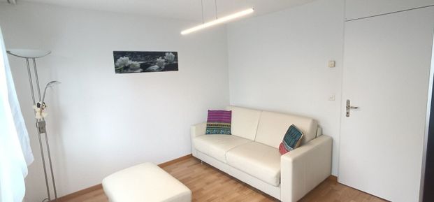 31/2 ROOM APARTMENT IN BAAR (ZG), FURNISHED, TEMPORARY - Foto 1