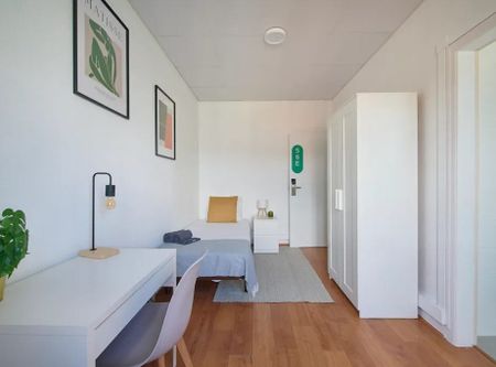 Rua Alexandre Herculano, Lisbon, Lisbon 1150-005 - Photo 4