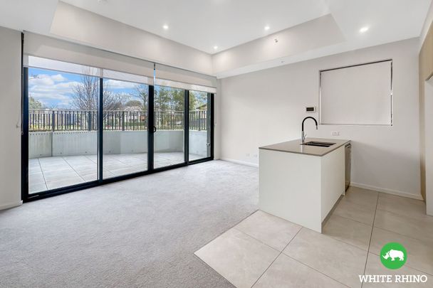 G15/351 Northbourne Avenue, Lyneham - Photo 1