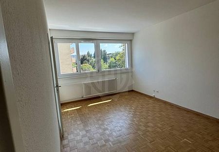 Charmant Appartement - Meyrin - Foto 2