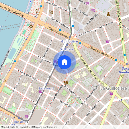 6 RUE BECHEVELIN, LYON 7EME ARRONDISSEMENT Saint-Michel