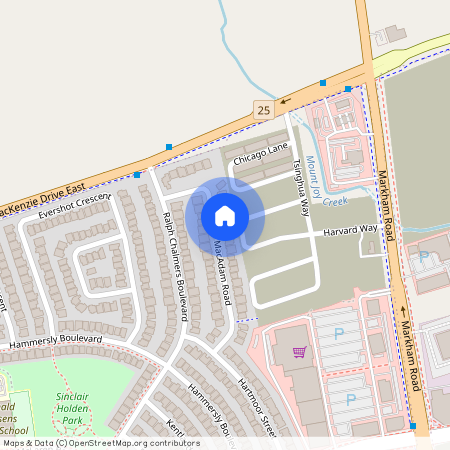37 Macadam Road Unit# Basement, Markham