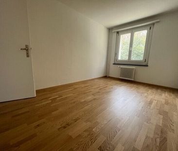 Near recreational area – Spacious apartment near the Rombach - Photo 1