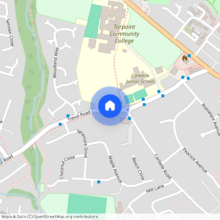 Kings Arms, Torpoint PL11