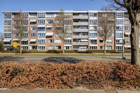Te huur: Appartement Plantageweg 19 in Zwijndrecht - Photo 3