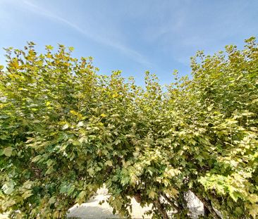 Noves, centre : Appartement T2, - Photo 1