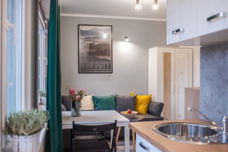 KARPATY - Zdjęcie 2