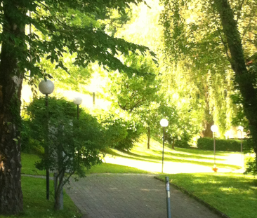 CHARMANTE WOHNUNG FÜR SINGLES AN RUHIGER LAGE MIT GARTENSITZPLATZ! - Foto 1