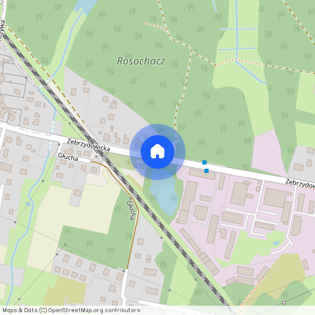 Zebrzydowice, Rybnik, śląskie