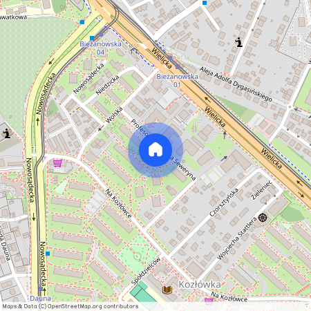 Profesora Tadeusza Seweryna, Kozłówka, Bieżanów-Prokocim, Kraków, małopolskie