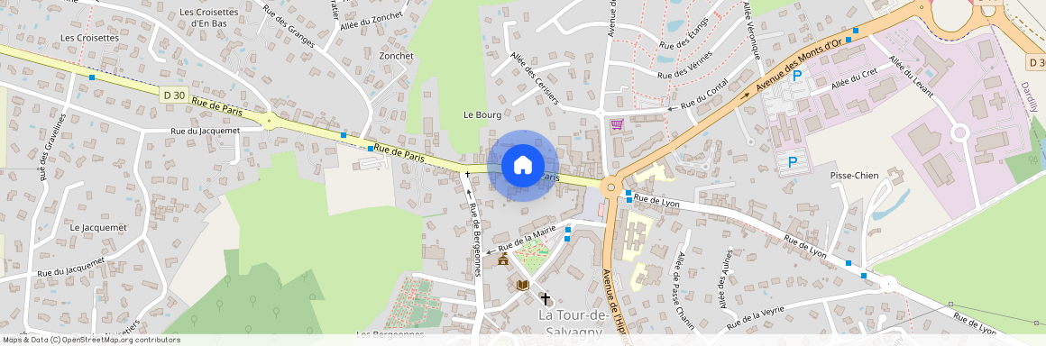 AUVERGNE-RHÔNE-ALPES, RHONE (69), 69890, La Tour De Salvagny