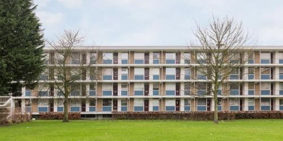 Ogierssingel 3076 CN Rotterdam - Foto 3