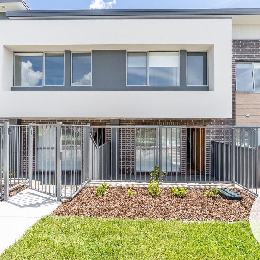 14/10 Ellison Harvie Cl, Greenway ACT 2900 - Townhouse For Rent | Domain - Photo 1