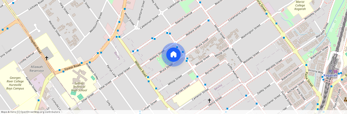 48 Bruce Street, NSW 2207, Bexley