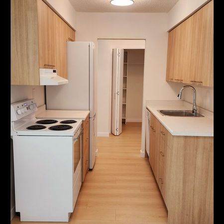 Fairview court Holdings - Photo 3