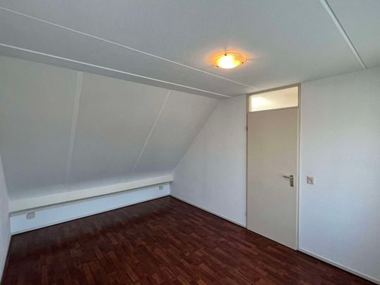 Scheendijk, Breukelen, Nederland - Foto 1