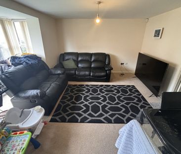 Coopers Meadow - Photo 1